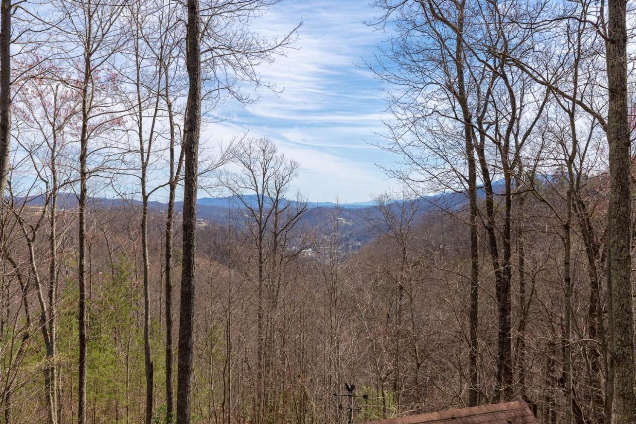Bear View Chalet, 3 Bedroom, Pool, Pets, Arcades, Wifi, Hot Tub, Sleeps 12 蓋特林堡 外观 照片